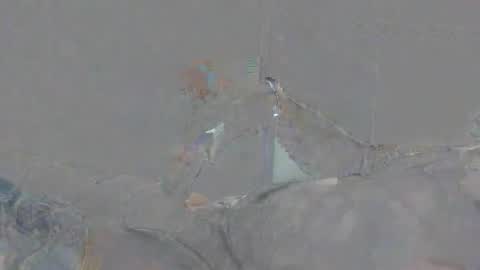 Snapshot of alexsmith9876 chatting on 04-02-26, 02:15 Alexsmith9876 online show from 04-02-26, 02:15