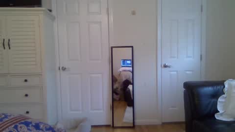 alfal21 online show from 05-07-26, 09:42