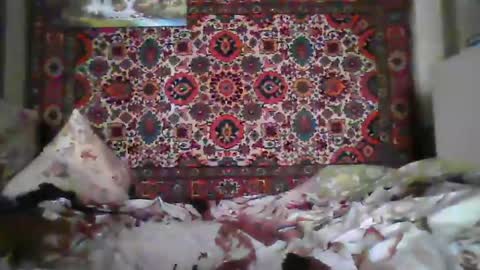 alferezsolvajo online show from 07-22-26, 07:11