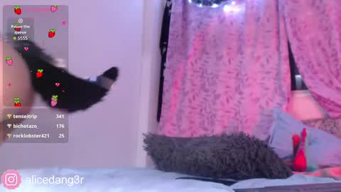 Snapshot of alicedang3r chatting on 12-15-24, 05:13 Alice  online show from 12-15-24, 05:13
