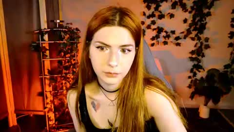 Alice online show from 07-24-26, 05:16