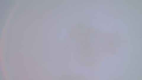 Snapshot of alienexxx chatting on 02-14-25, 01:34 online show from 02-14-25, 01:34