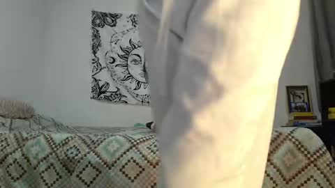 Snapshot of alinawoolf_ chatting on 12-19-24, 02:56  Ali  online show from 12-19-24, 02:56