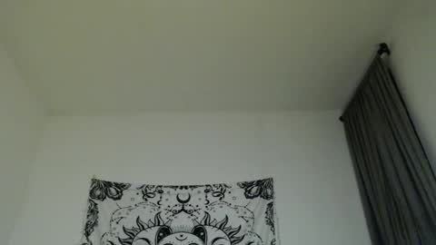 Snapshot of alinawoolf_ chatting on 02-26-25, 05:20  Ali  online show from 02-26-25, 05:20