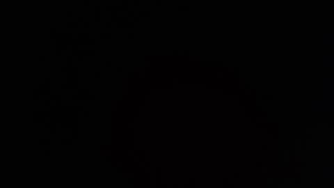     online show from 03-26-26, 07:41