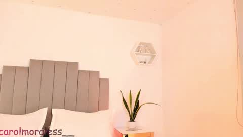 Snapshot of alisa_walton chatting on 11-30-25, 04:05 ALIS online show from 11-30-25, 04:05