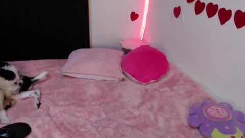 Snapshot of all_smiles_here chatting on 02-23-25, 01:02 Lola online show from 02-23-25, 01:02