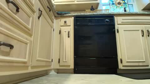 wishlist on bio online show from 12-04-25, 07:22