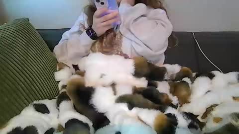 alliebearx online show from 04-18-26, 03:49