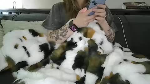 alliebearx online show from 04-28-26, 05:40