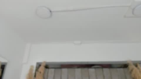    online show from 02-02-26, 10:47