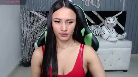 Snapshot of allisson_a chatting on 12-21-24, 03:47 Allisson online show from 12-21-24, 03:47