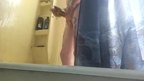 allwolf0323 online show from 09-30-25, 04:45