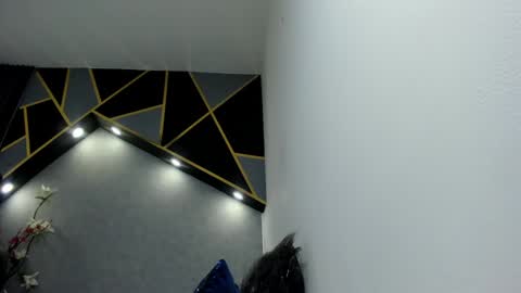 Snapshot of almma_ chatting on 01-14-25, 03:04 ALMMA online show from 01-14-25, 03:04