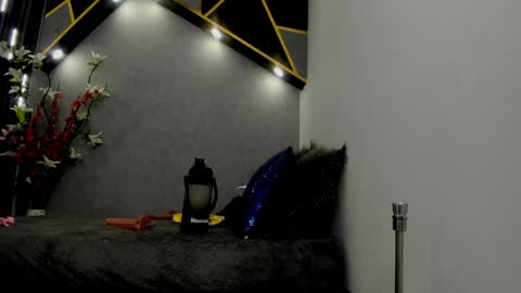 Snapshot of almma_ chatting on 01-23-25, 06:14 ALMMA online show from 01-23-25, 06:14