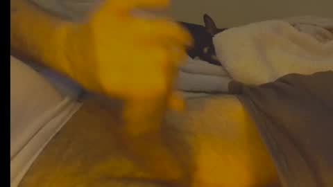 alphablue_wolf1295 online show from 01-02-25, 06:29