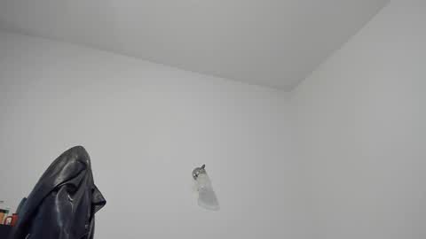 LeatherMaster online show from 12-24-24, 10:55