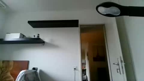 Snapshot of alphah_hunk chatting on 09-22-25, 03:03 alphah_hunk online show from 09-22-25, 03:03