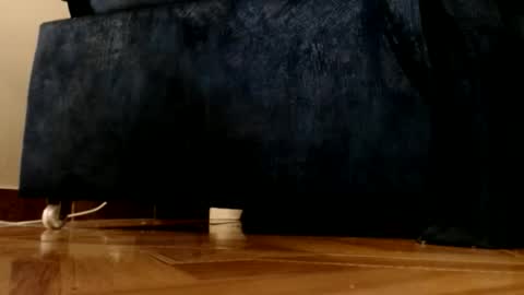 Snapshot of alphaswitchard chatting on 03-01-26, 12:12 ur god online show from 03-01-26, 12:12