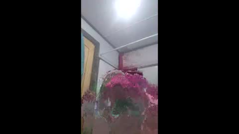 already0101 online show from 06-08-26, 10:48