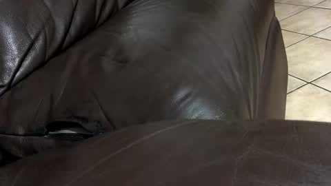 Snapshot of alto193cm chatting on 02-12-26, 06:58 kenzo online show from 02-12-26, 06:58