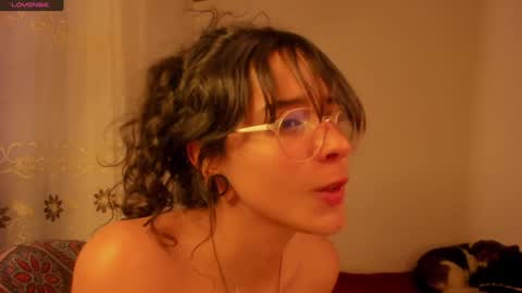 . .  online show from 12-19-24, 11:14
