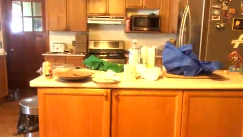 Snapshot of alvie_bones chatting on 01-26-25, 03:03 Alvie online show from 01-26-25, 03:03