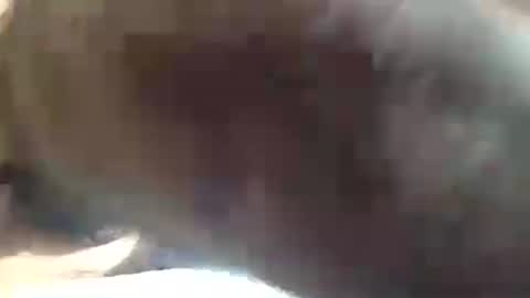 amandapanda1 online show from 07-19-26, 01:48