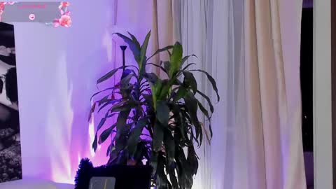 Snapshot of amatistahot1 chatting on 09-22-25, 11:51 Amatista online show from 09-22-25, 11:51