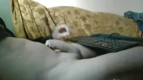 Snapshot of amazingcuteboy845 chatting on 09-29-25, 01:16 amazingcuteboy845 online show from 09-29-25, 01:16