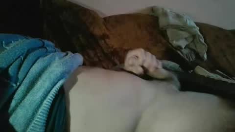 Snapshot of amazingcuteboy845 chatting on 10-18-25, 09:15 amazingcuteboy845 online show from 10-18-25, 09:15