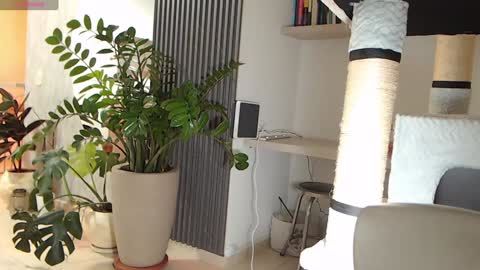 Ambar online show from 01-22-25, 04:02