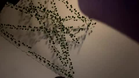 Snapshot of amberispurple chatting on 12-08-24, 04:04 AmberIsPurple online show from 12-08-24, 04:04