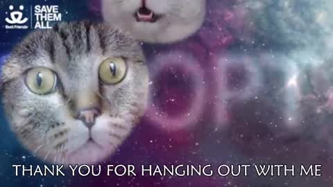 Amber online show from 03-05-25, 03:08