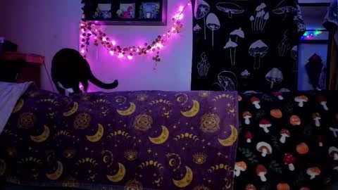 amburlicious online show from 02-22-26, 04:02