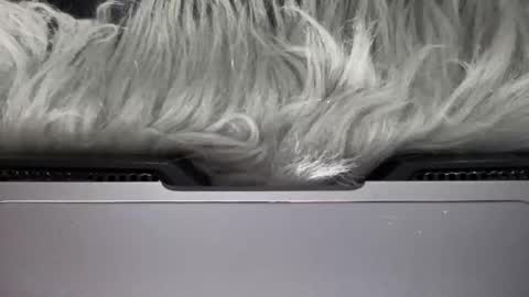 Snapshot of amelia_jones69x chatting on 03-15-26, 06:58 Amelia online show from 03-15-26, 06:58