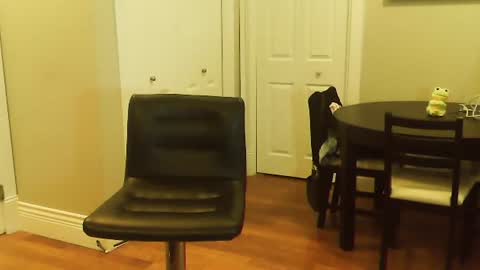 HOT white  naughty leo  xxx online show from 01-12-25, 06:16