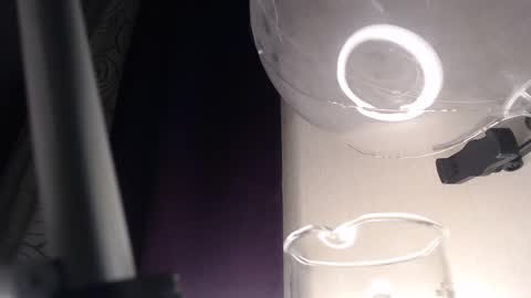 Snapshot of amoremeoww chatting on 02-13-25, 03:50 miss unforgettable online show from 02-13-25, 03:50