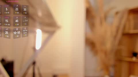     online show from 01-18-25, 11:22