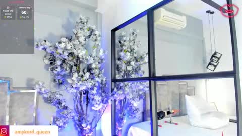 Amykord online show from 02-19-26, 11:39