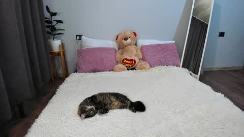 Snapshot of amymilson chatting on 12-20-24, 03:21 amymilson online show from 12-20-24, 03:21