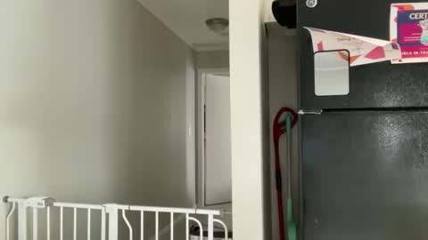 Amy Smilez online show from 12-17-25, 05:30