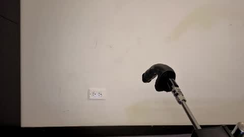 Anabel Alice Gandara online show from 05-17-26, 05:31