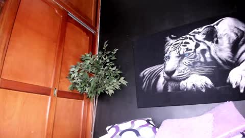 Snapshot of anahi__18 chatting on 12-22-24, 05:42 Anahi online show from 12-22-24, 05:42