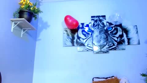 Snapshot of analia_01 chatting on 02-15-25, 04:56 Analia online show from 02-15-25, 04:56