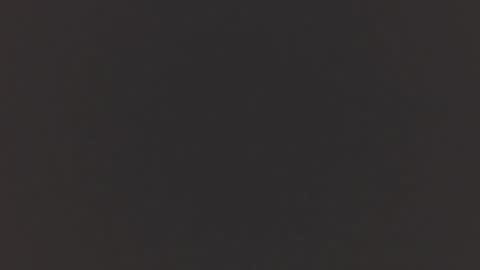   online show from 11-19-25, 11:21