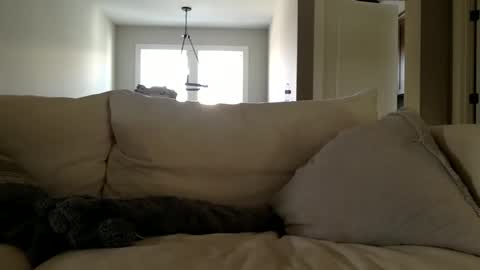 Snapshot of andees222 chatting on 12-19-25, 04:36 Andees222 online show from 12-19-25, 04:36