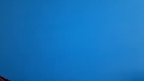 And 16.8 online show from 11-21-25, 10:36