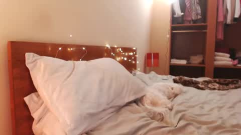 Snapshot of andrasweetie chatting on 12-24-24, 06:00 Andra online show from 12-24-24, 06:00