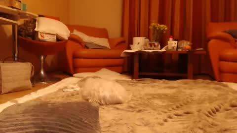 Snapshot of andrasweetie chatting on 06-01-26, 08:54 Andra online show from 06-01-26, 08:54